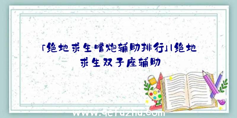 「绝地求生嘴炮辅助排行」|绝地求生双子座辅助